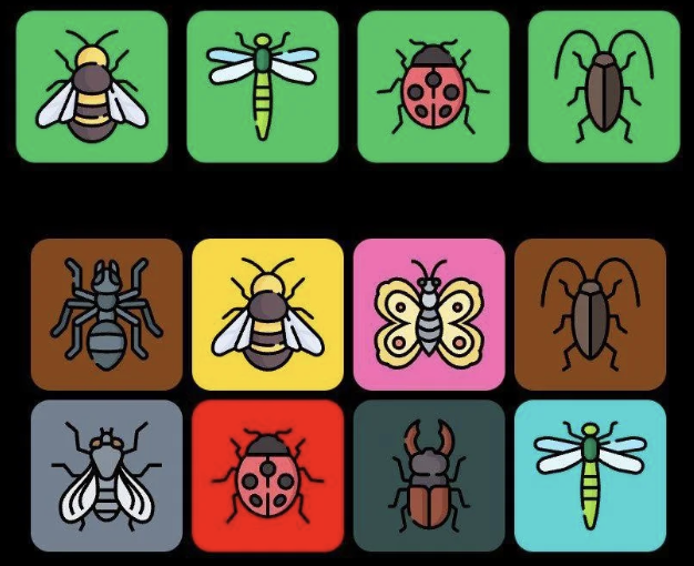 FLIES Daily Combo 26 March 2025